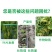 腐殖酸液体氮肥促进光合作用全水溶氮肥叶面肥料厂家直销
