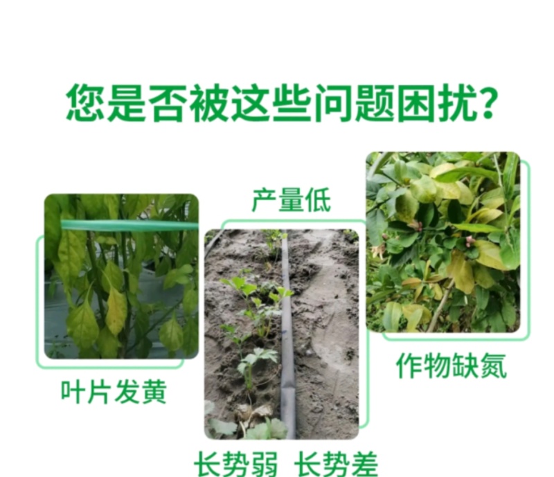 腐殖酸液体氮肥促进光合作用全水溶氮肥叶面肥料厂家直销