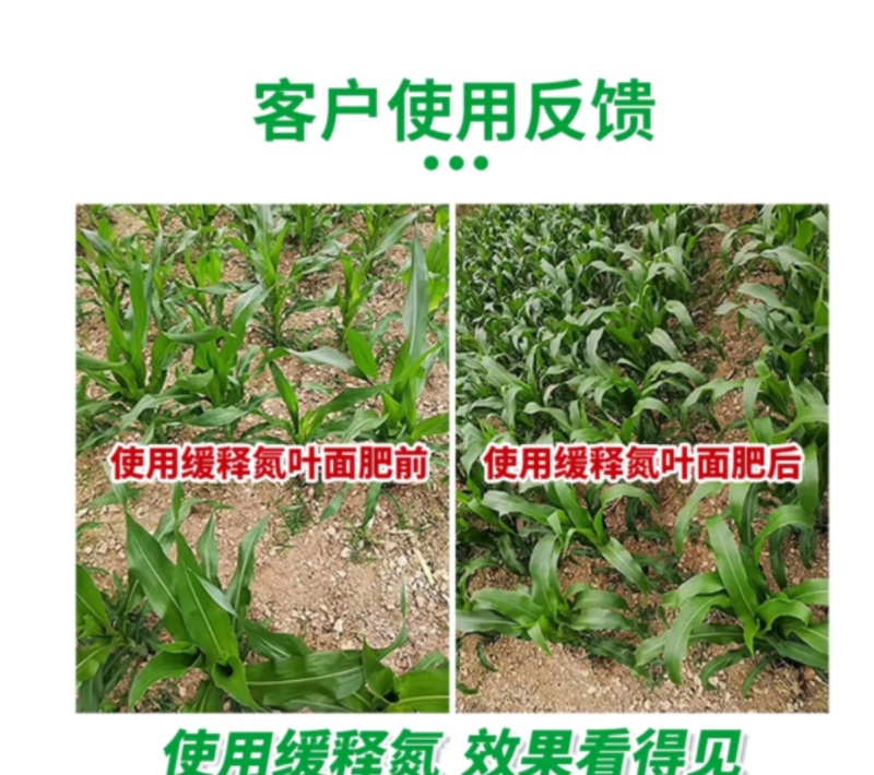 腐殖酸液体氮肥促进光合作用全水溶氮肥叶面肥料厂家直销