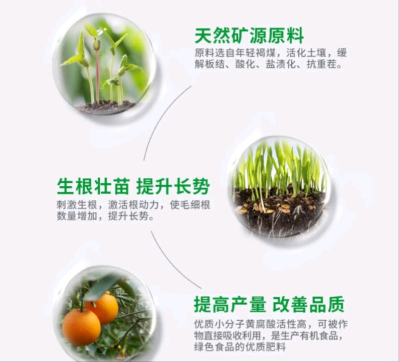 矿源黄腐酸钾促根壮苗调节酸碱活化土壤果树蔬菜肥料