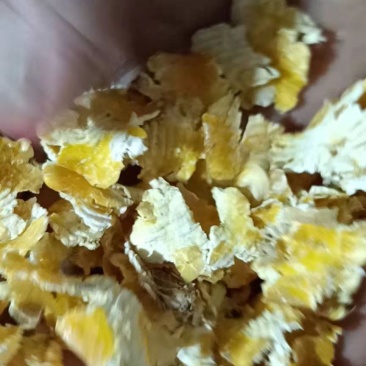玉米压片，现货，全国可发