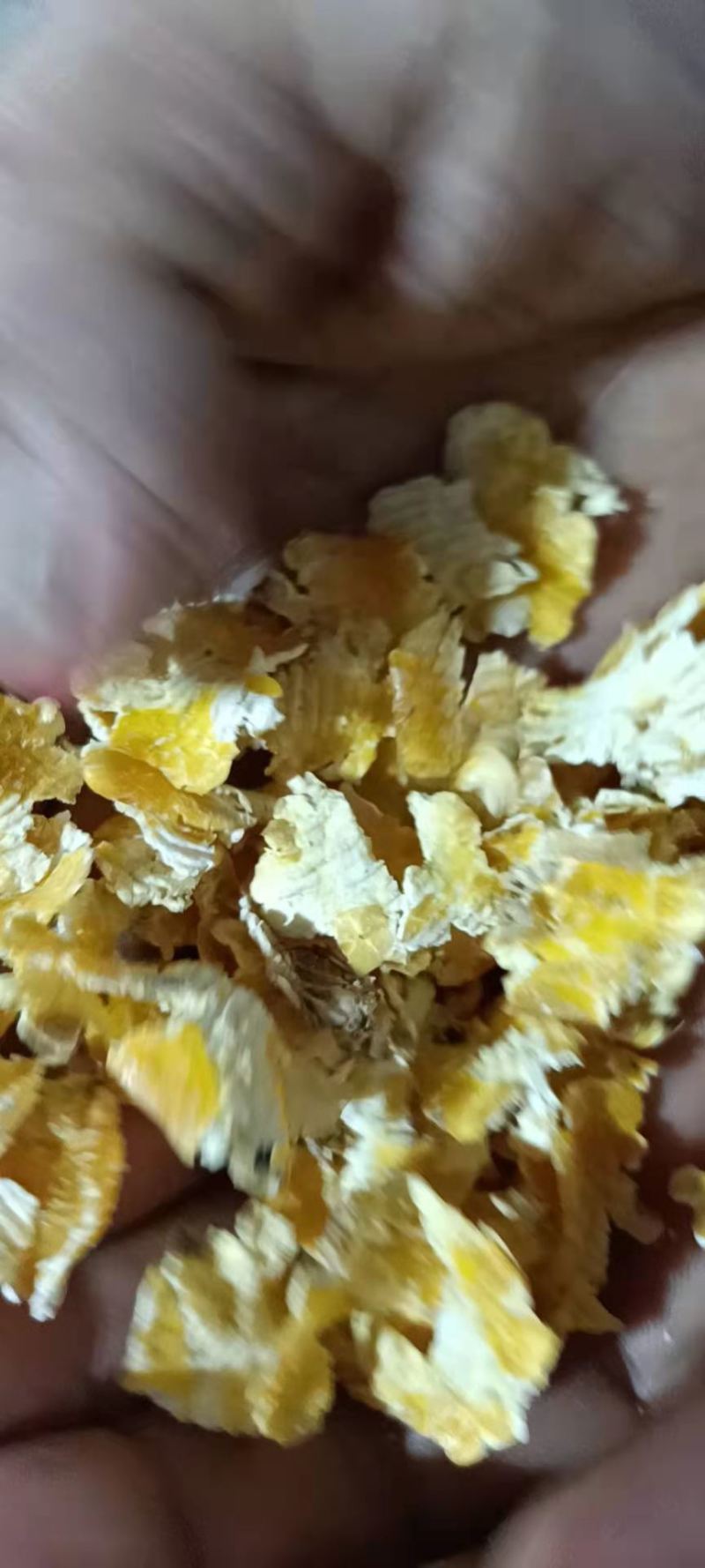 玉米压片，现货，全国可发