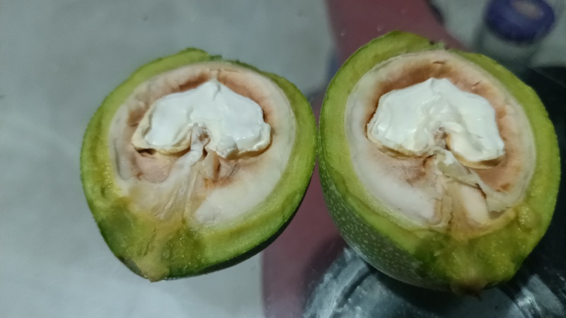 礼品2号青皮，清香青皮，大量有货，量大从优，欢迎新老客户