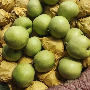 绿皮皇冠梨