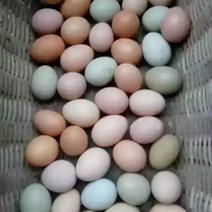 散养柴鸡蛋