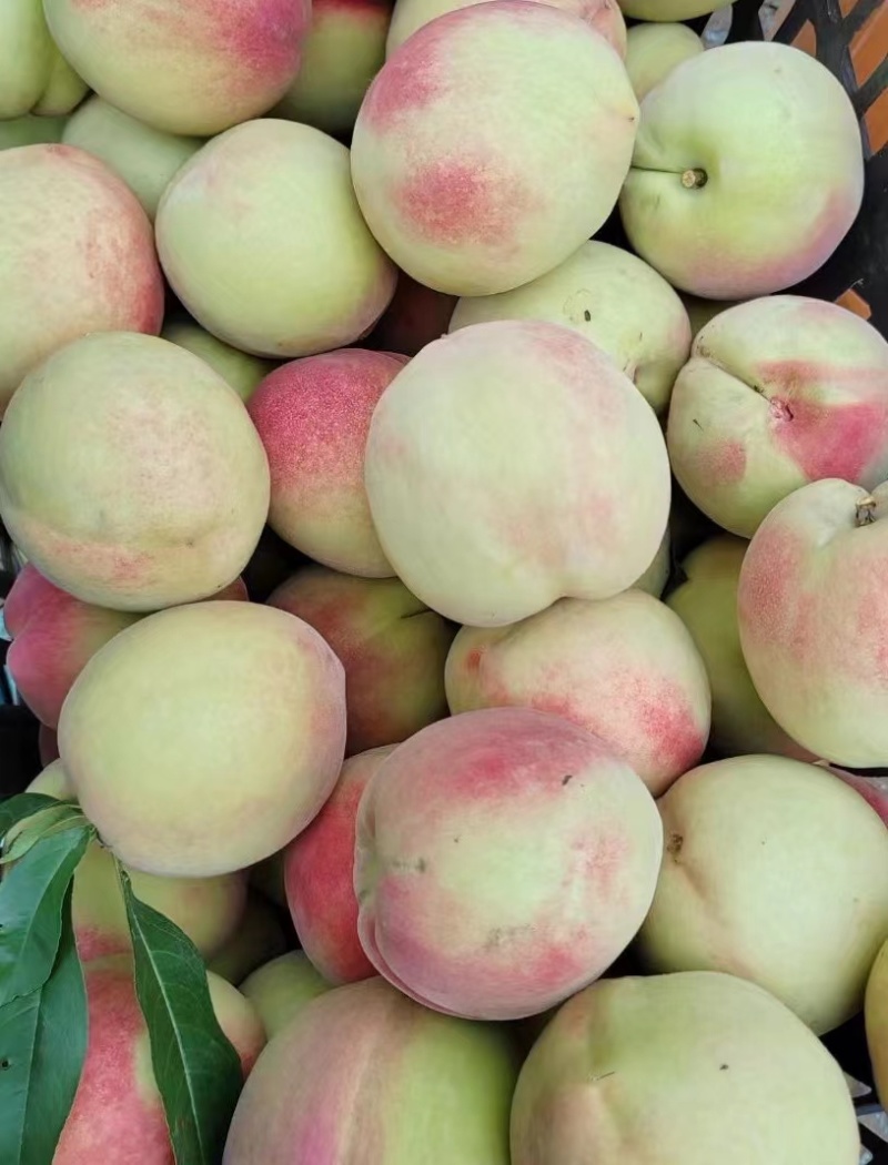 北京十四号