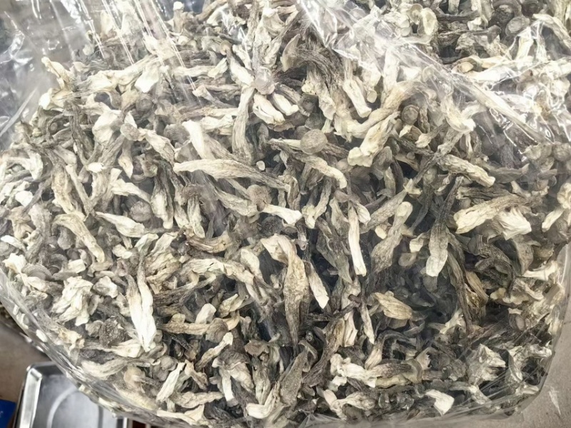 品品鲜牌、鹿茸菇、鹿茸菇干、特价促销