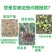 苗绿壮微生物菌剂预防土传病害真菌细菌抗重茬菌肥包邮