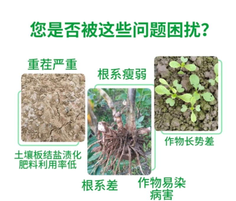 苗绿壮微生物菌剂预防土传病害真菌细菌抗重茬菌肥包邮
