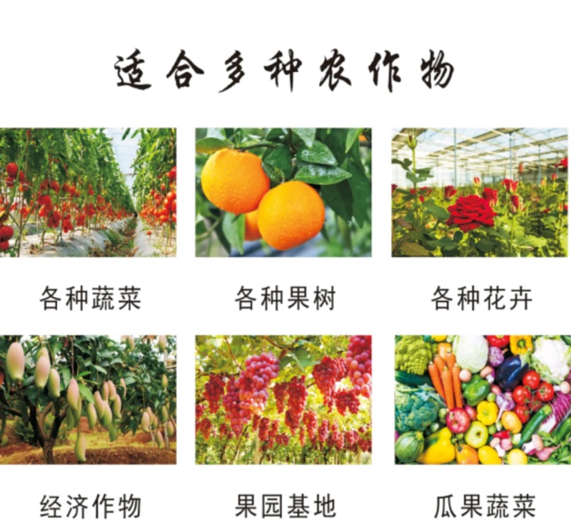 生根促根壮苗含氨基酸水溶肥料活化土壤抑菌防病