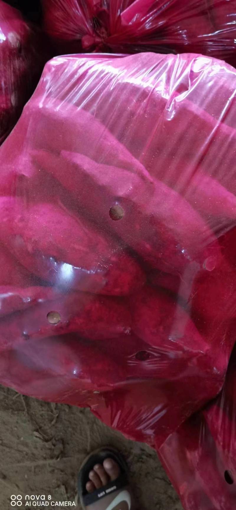 开封产地红薯大量上市欢迎各地老板选购