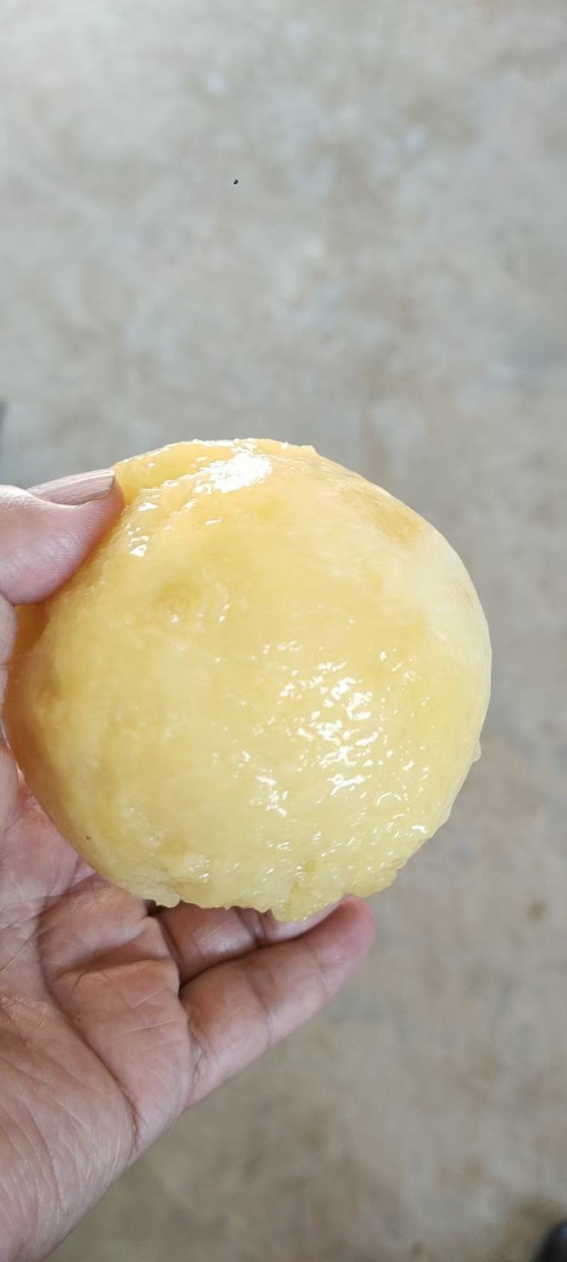 阳山水蜜桃