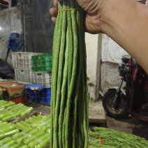 长豆角