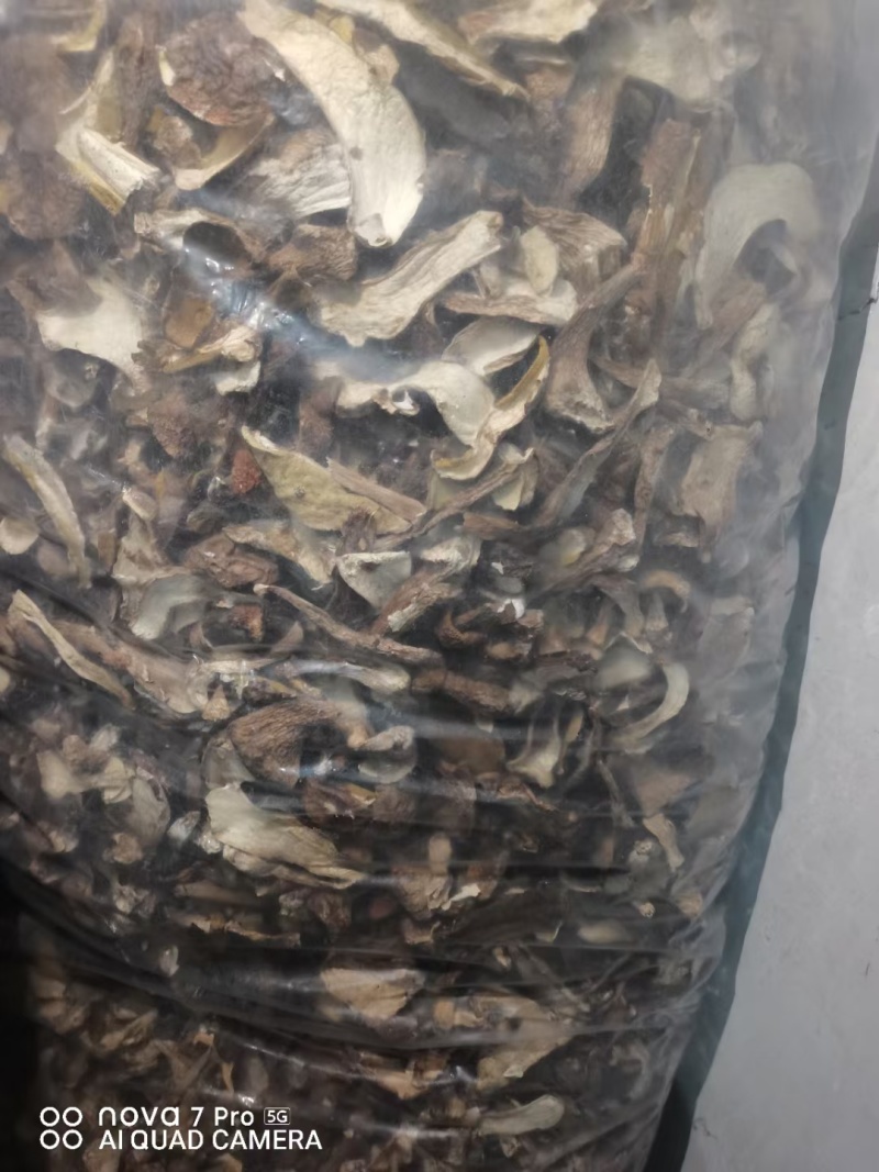 牛肝菌大腿菇野生新鲜嫩菇干货河南伏牛山产地直供