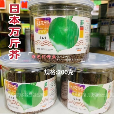 日本万斤芥种子芥菜疙瘩种子花叶芥菜种子耐寒耐旱有辣味