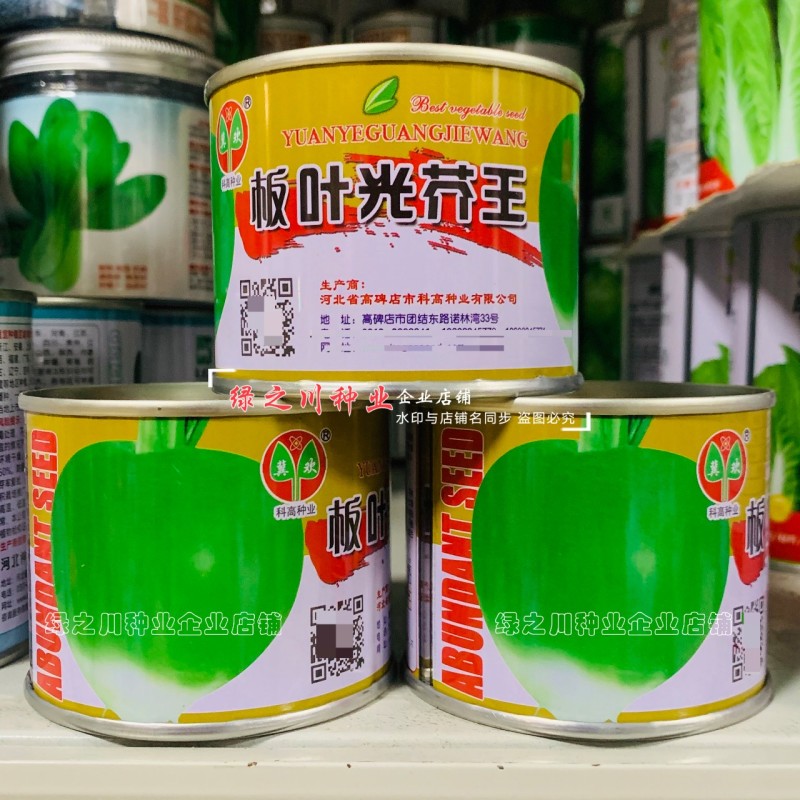 板叶光芥王芥菜头种子辣味浓腌渍脆嫩可口板叶芥菜疙瘩种子