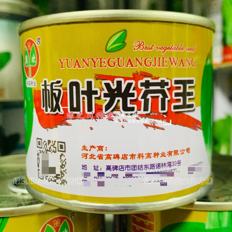 板叶光芥王芥菜头种子辣味浓腌渍脆嫩可口板叶芥菜疙瘩种子