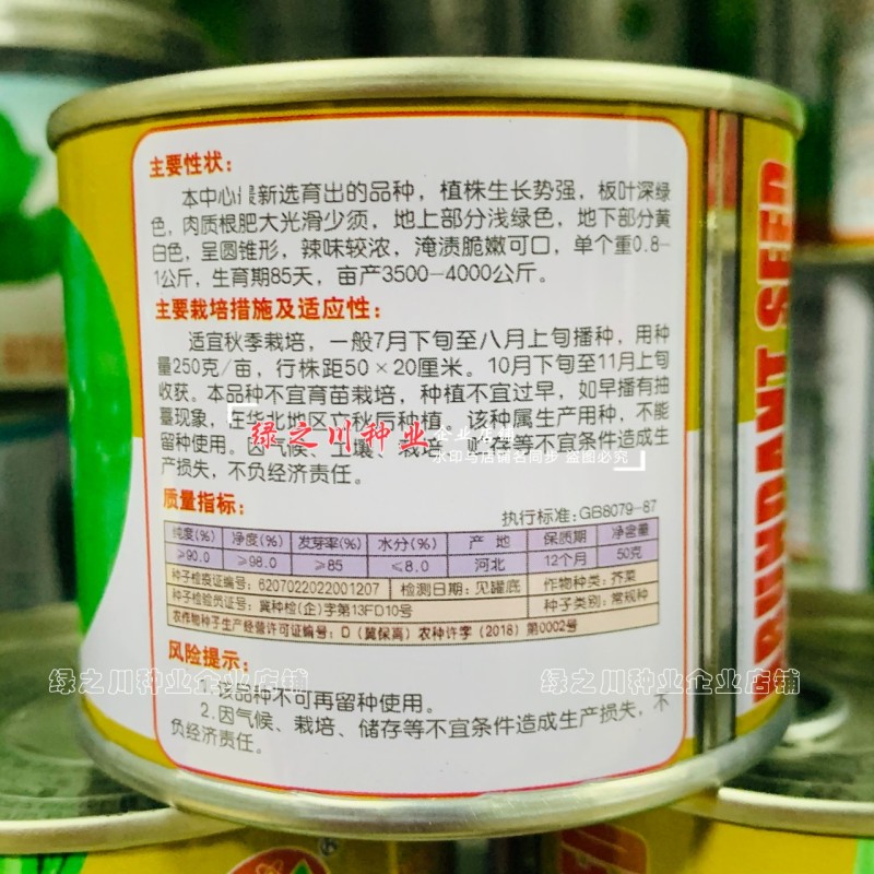 板叶光芥王芥菜头种子辣味浓腌渍脆嫩可口板叶芥菜疙瘩种子