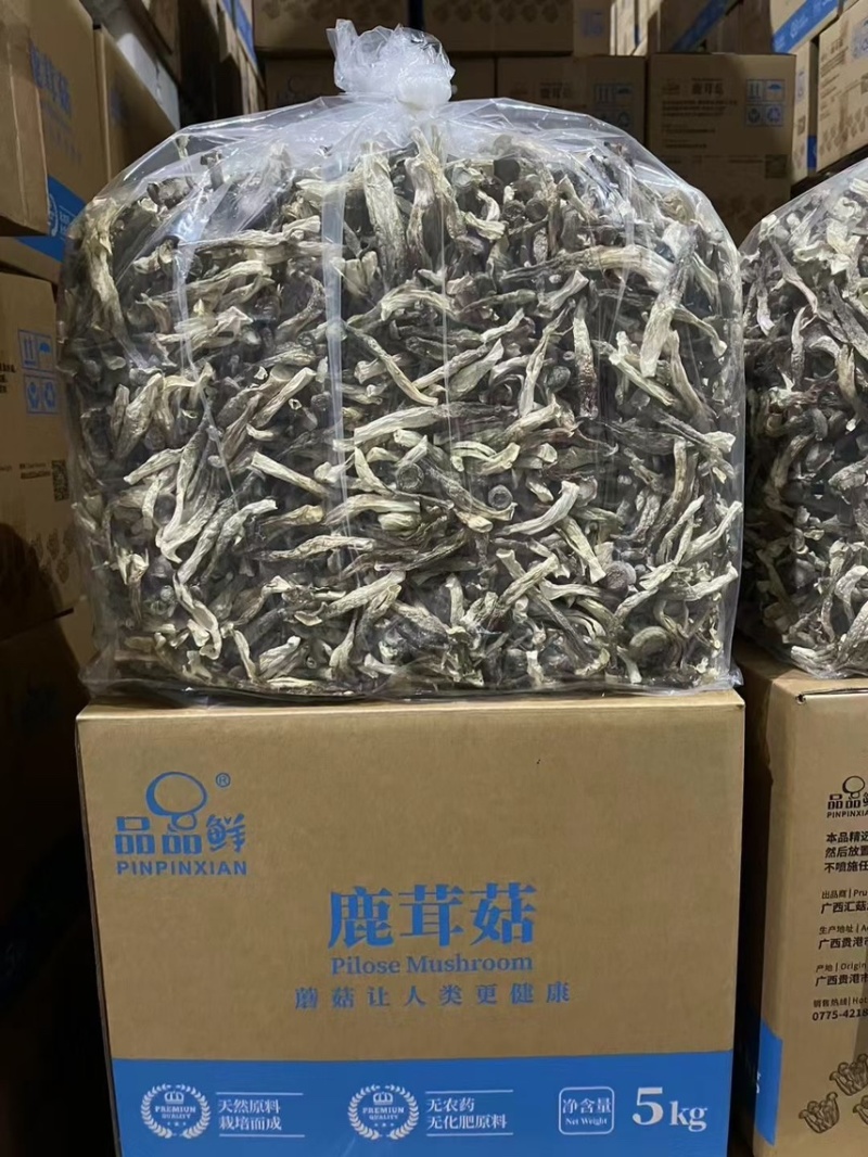 品品鲜牌、鹿茸菇、鹿茸菇干、特价促销