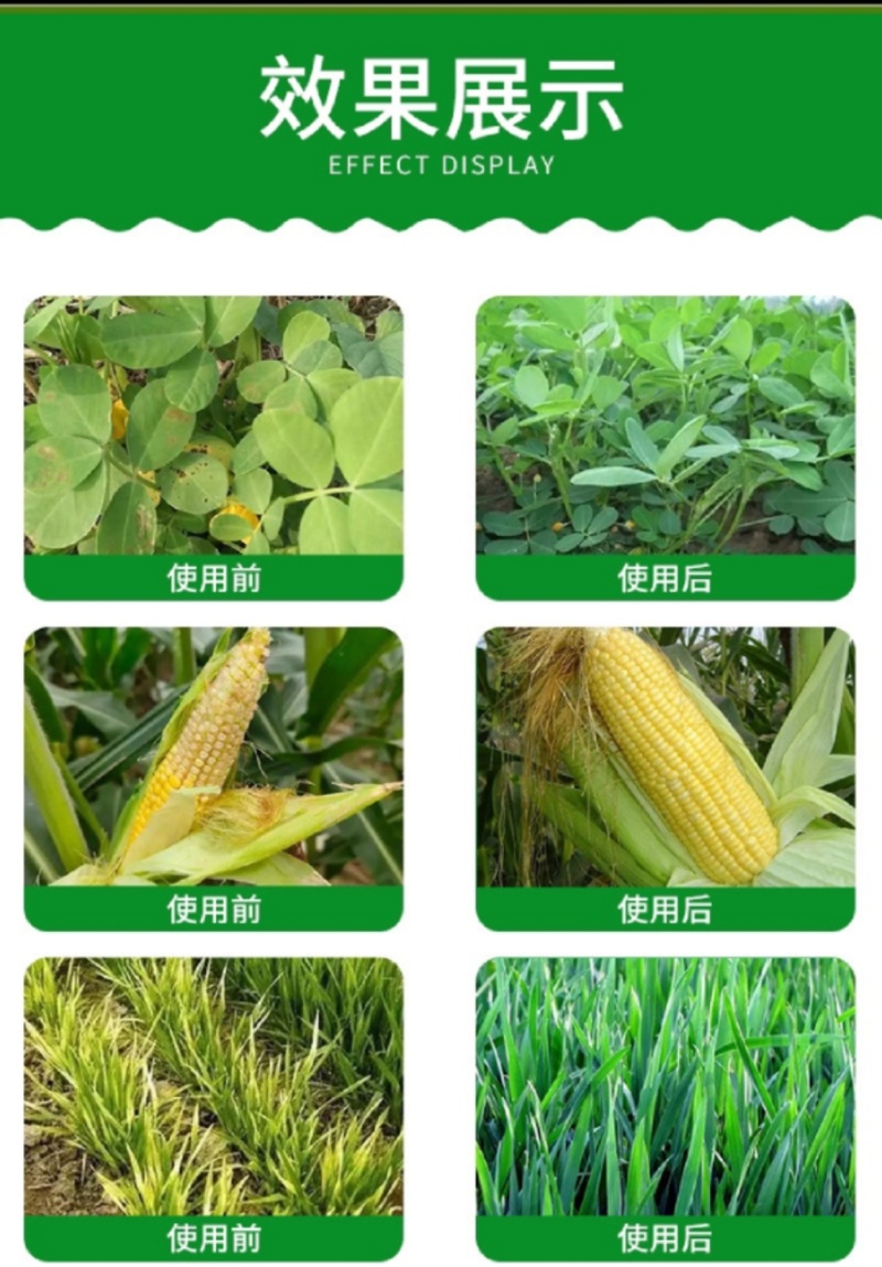 钙镁硼锌铁五素同补中量元素水溶肥料营养全面均衡提质增产