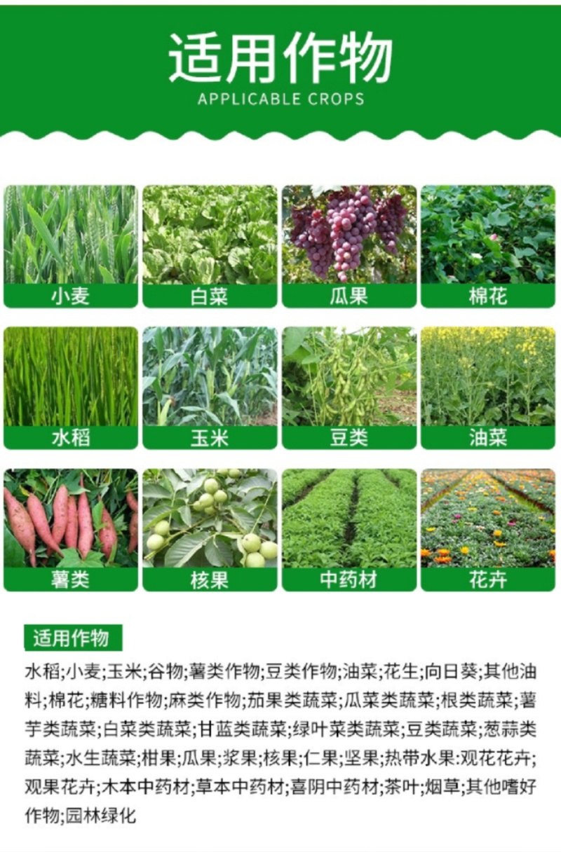钙镁硼锌铁五素同补中量元素水溶肥料营养全面均衡提质增产