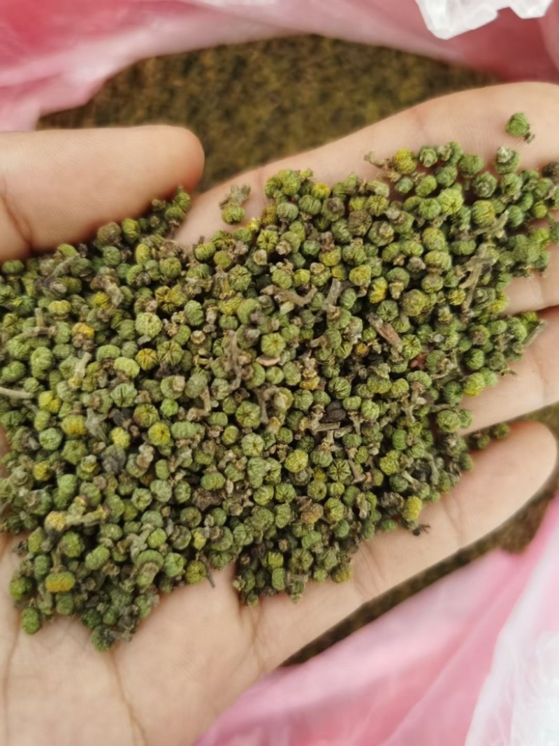 吴茱萸、湖南中花吴茱萸干货。无杂质颜色好新货一手货源批发