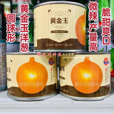 黄金玉洋葱种子黄皮洋葱种子辛辣味淡爽脆多汁光泽度好秋季