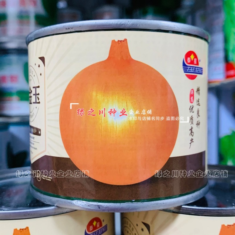 黄金玉洋葱种子黄皮洋葱种子辛辣味淡爽脆多汁光泽度好秋季
