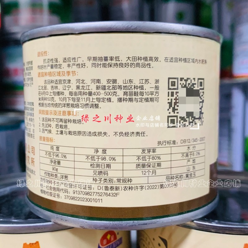 黄金玉洋葱种子黄皮洋葱种子辛辣味淡爽脆多汁光泽度好秋季