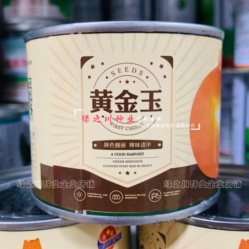 黄金玉洋葱种子黄皮洋葱种子辛辣味淡爽脆多汁光泽度好秋季