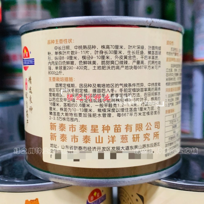 黄金玉洋葱种子黄皮洋葱种子辛辣味淡爽脆多汁光泽度好秋季