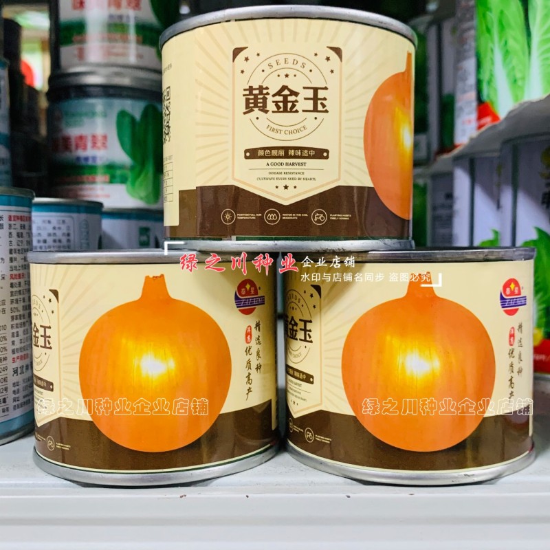 黄金玉洋葱种子黄皮洋葱种子辛辣味淡爽脆多汁光泽度好秋季