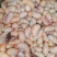 新鲜鸡腰子