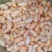 新鲜鸡腰子