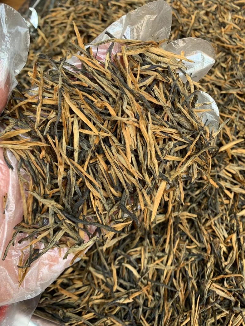 云南滇红茶凤庆滇红茶蜜香金针大金针小金针源头厂家供货