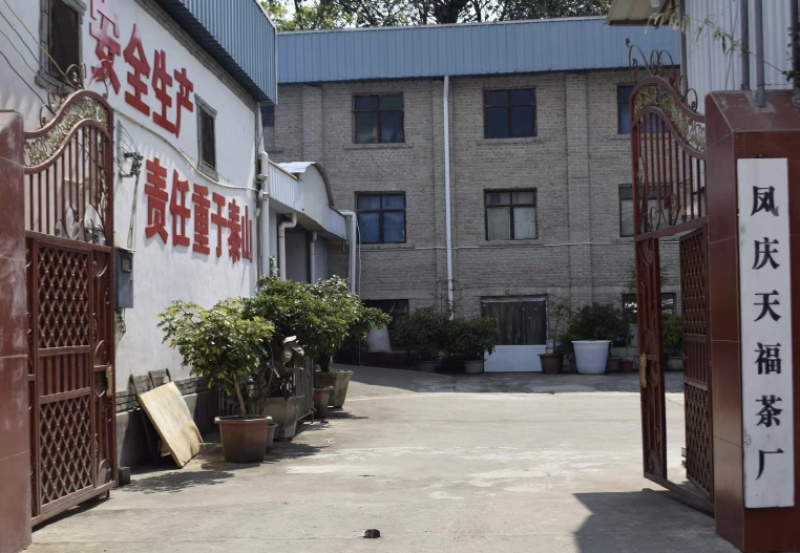 云南滇红茶凤庆滇红茶蜜香金针大金针小金针源头厂家供货