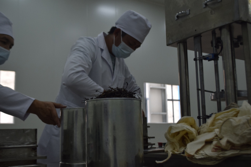 云南滇红茶凤庆滇红茶蜜香金针大金针小金针源头厂家供货
