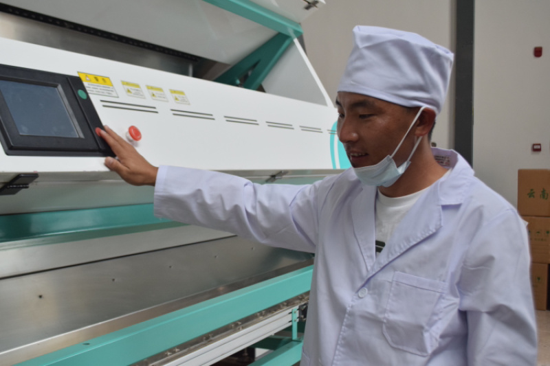 云南滇红茶凤庆滇红茶蜜香金针大金针小金针源头厂家供货