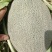 民勤西州蜜17号货源充足，量大从优，品质优良，诚信经营