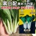 晓富黑白配小白菜种子四季黑叶小白菜种籽耐热耐湿蔬菜种子