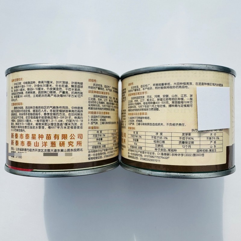 黄金玉黄皮洋葱种子辛辣味淡稍带甜味圆球型黄洋葱种子
