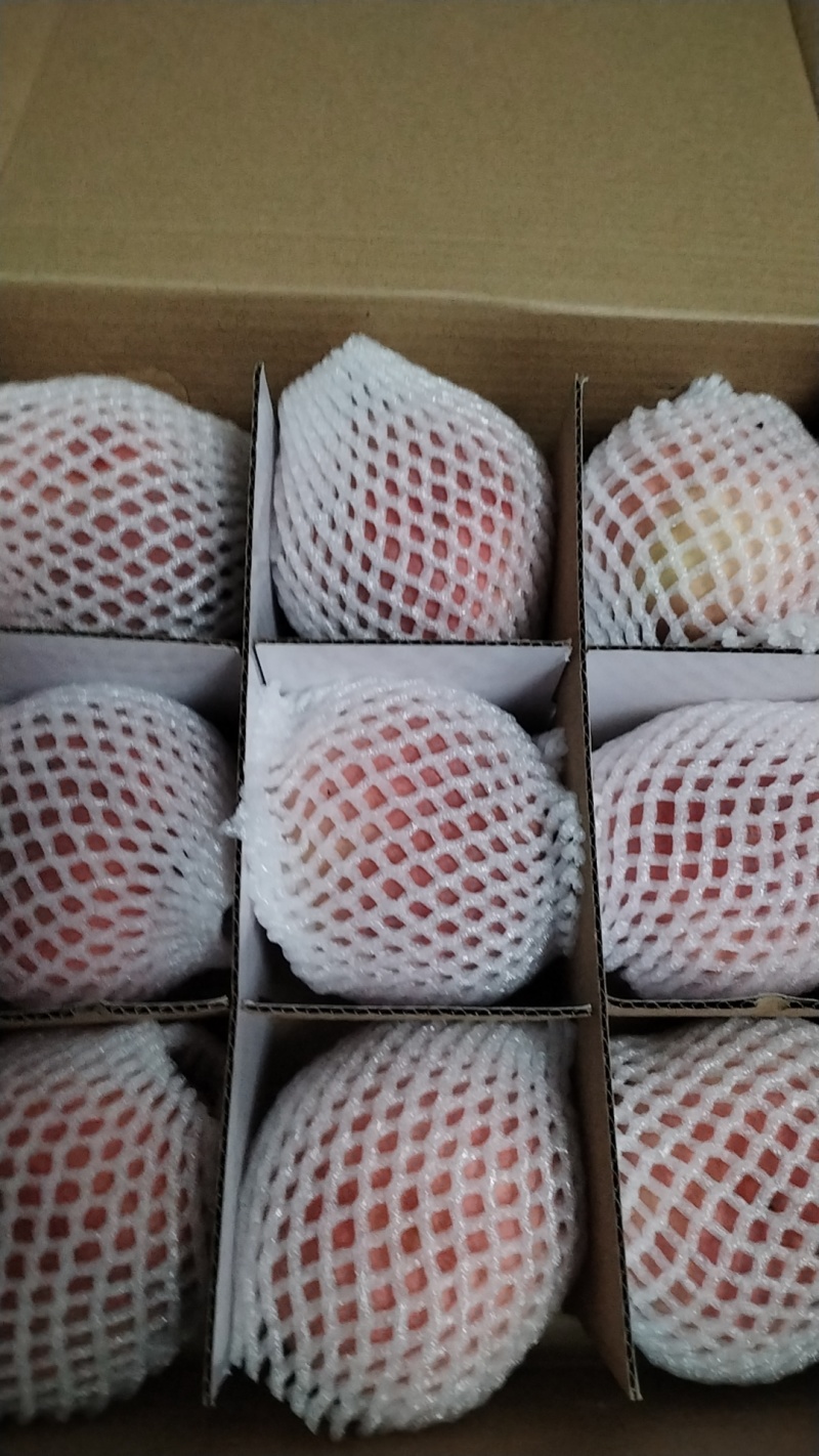 山东精选玉妃毛桃自家种植口感鲜美可礼品包装诚信经营
