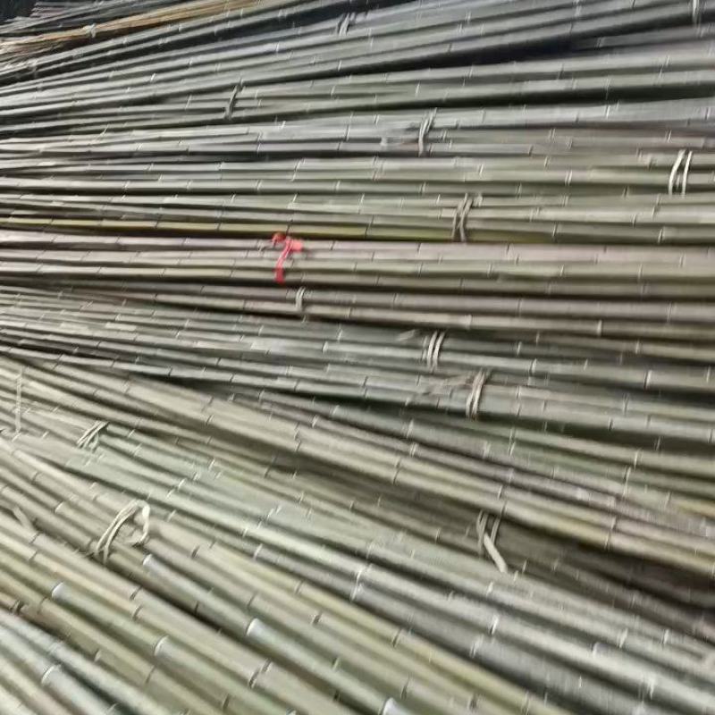 新鲜竹竿，优质农产品，直供农场，多种规格可选，快来选购！