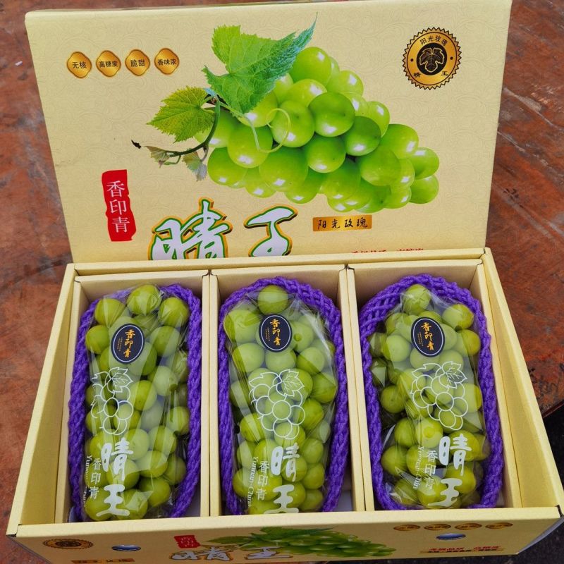 阳光玫瑰承接商超电商供货规格齐全多产区底糖18才发