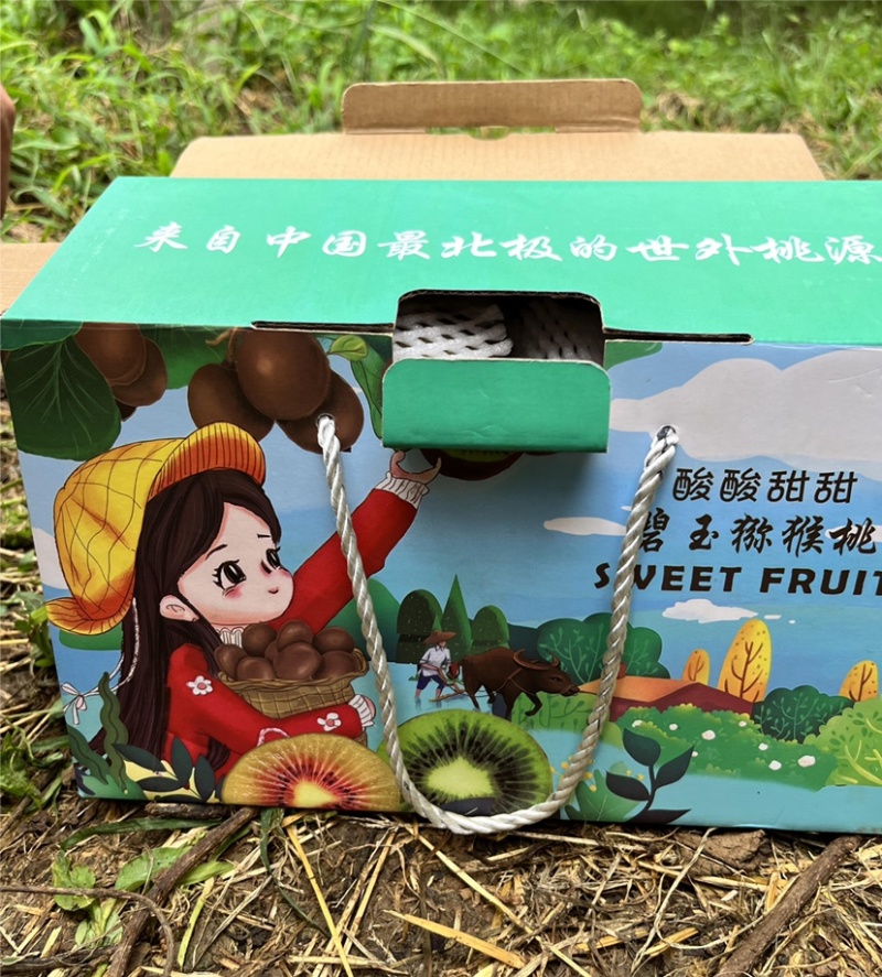 一件代发电商一级果通货