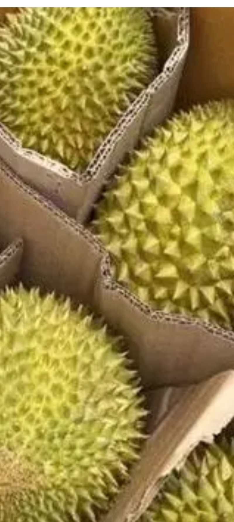 榴莲