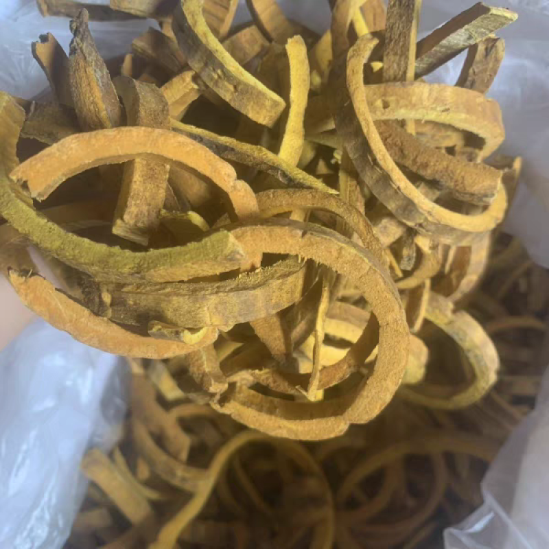 黄柏树苗中药材树苗经济林苗木剥皮厚皮黄柏