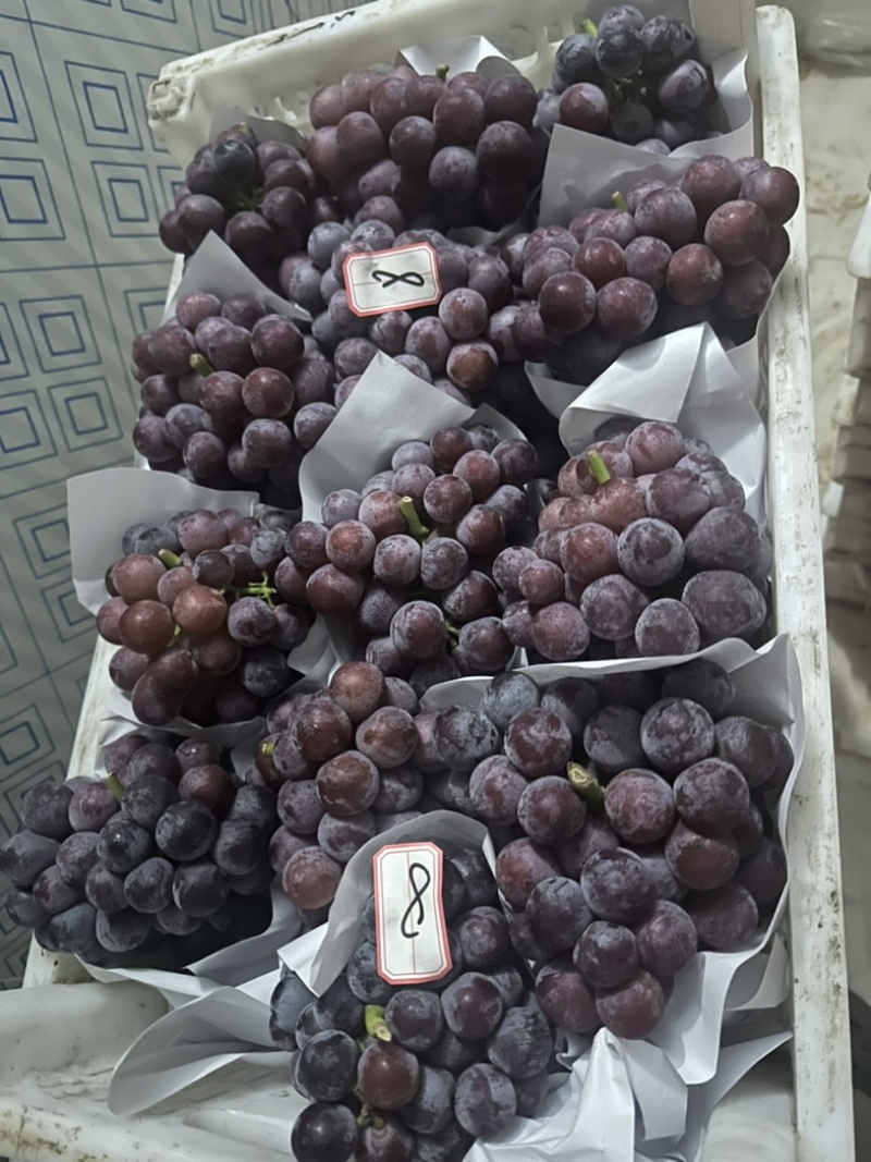 套袋子的夏黑