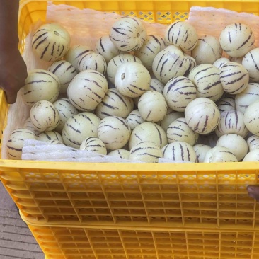 人参果