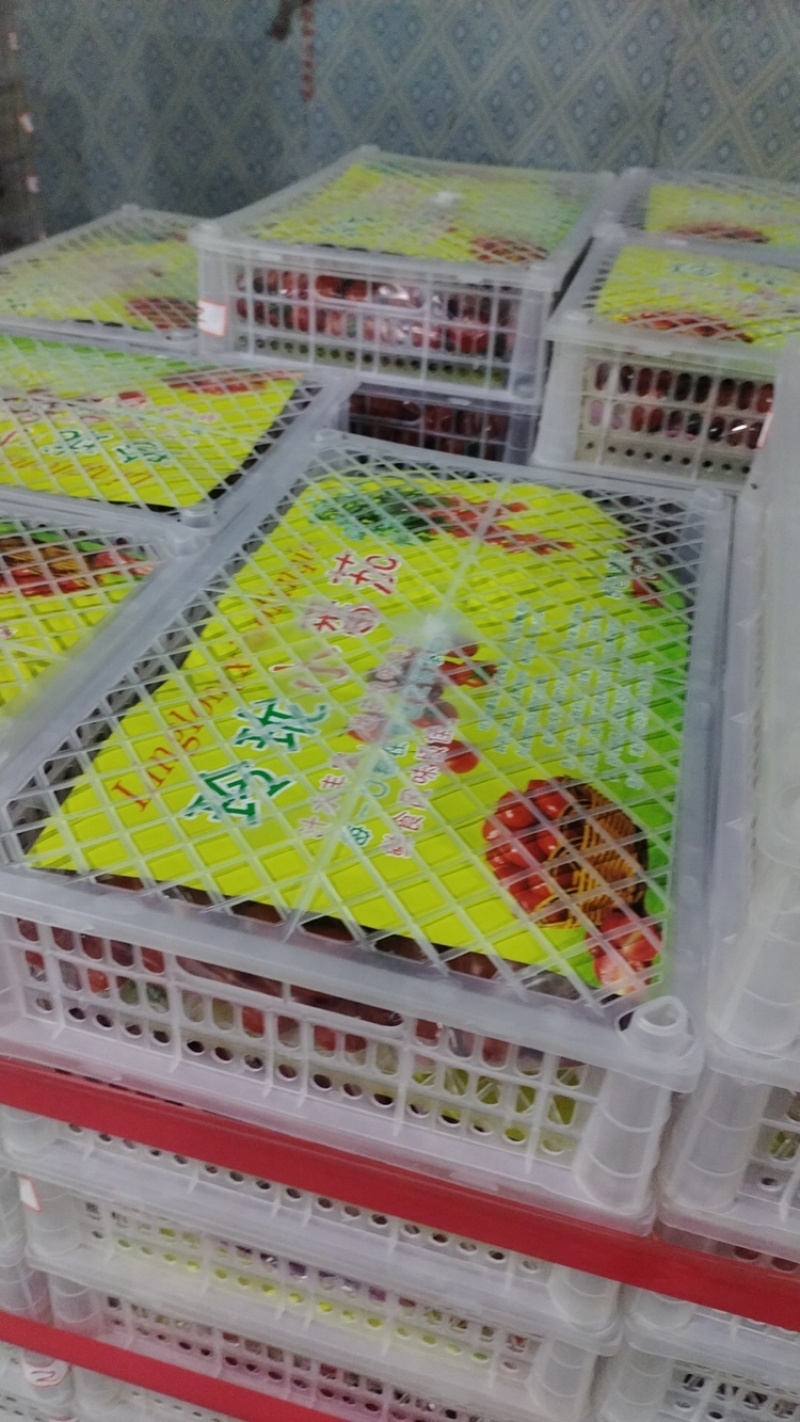 圣女果千禧圣女果宁夏圣女果供应中对接电商市场等